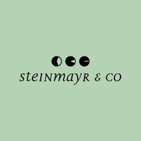 Steinmayr & Co Insurance Brokers logo - Similar company to Stasto Automation Kg