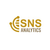 SNS ANALYTICS logo - Similar company to Sns Analytics