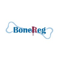 BoneReg logo - Similar company to Chatheroes