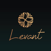 Levant logo - Similar company to Tinyhax