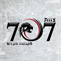707 Team - Financial Security and Investigations logo - Similar company to Pluto Security