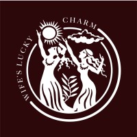 WLC Media logo - Similar company to Md Digital Studio