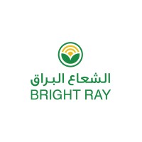 Bright Ray logo - Similar company to Brightray