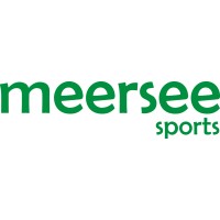 NANJING WELLSON SPORTING GOODS CO LTD logo - Similar company to Sporting Goods