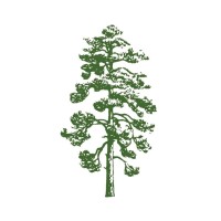 Ponderosa Ventures logo - Similar company to Joeyco
