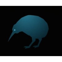 KiwiKode logo - Similar company to Beesoft