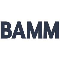 BAMM logo - Similar company to Thinks Insight & Strategy