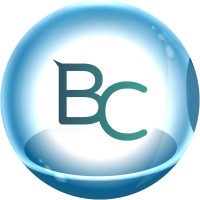Bulle de Cactus logo - Similar company to Orignal
