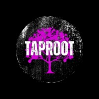Taproot Law, PLLC logo - Similar company to Nextup