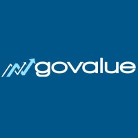Go Value logo - Similar company to Synether