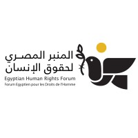 Egyptian Human Rights Forum (EHRF)-المنبر المصري لحقوق الإنسان logo - Similar company to Contesting Governance