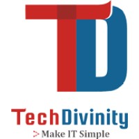 TechDivinity logo - Similar company to Happytech Services