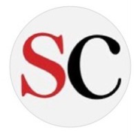 Silver Chips Print logo - Similar company to Neuroflex