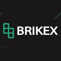 Brikex logo - Similar company to Suba/ Real Estate
