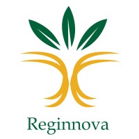 Reginnova NE Association logo - Similar company to Craft-It4Sd