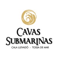 Cavas Submarinas logo - Similar company to Netcamara