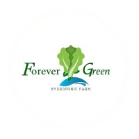 Forever Green Hydroponic Farm logo - Similar company to Pt Batu Hijau Paramesti
