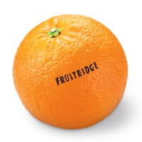 Fruitridge Printing logo - Similar company to Welch Printing