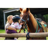 Halleck Creek Ranch logo - Similar company to Rtec Treecare