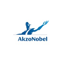 AkzoNobelPaint logo - Similar company to Polipowder Kft.