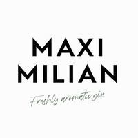 Maxi Milian s.r.l. logo - Similar company to Gover Design Studio