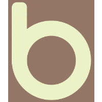 būmi logo - Similar company to Summit Strategic Group
