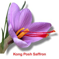 Kong Posh Saffron logo - Similar company to Saffron Partners