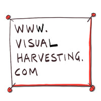 Visual Harvesting logo - Similar company to Visuality Eu