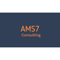 AMS7 Consulting logo - Similar company to Pataki - Ecossistema Pet