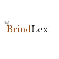 BrindLex LLP logo - Similar company to Visionolic Ltd