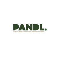 PandL logo - Similar company to Hub Ahead