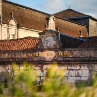 Château de Cognac logo - Similar company to Cognac Roffignac