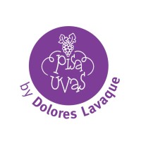 Pisauvas logo - Similar company to Teengo
