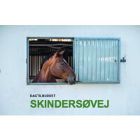 Dagtilbuddet Skindersøvej logo - Similar company to Damsgaarden