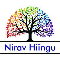 Nirav Hiingu logo - Similar company to Business Analyst Training In Bangalore