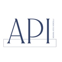 Associazione Piccole e Medie Industrie di Novara, VCO, Vercelli e Valsesia logo - Similar company to Api Servizi Srl