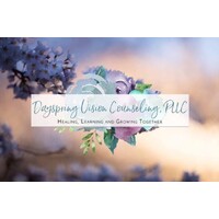 Dayspring Vision Counseling, Pllc