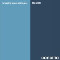 concilio logo - Similar company to Flace