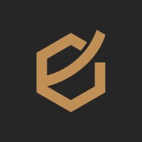 Beehive Capital Advisors Private Limited logo - Similar company to Pluvian