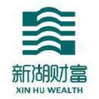 新湖财富投资管理有限公司