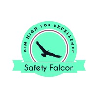 Safety Falcon logo - Similar company to Ceeri Sarmouk