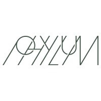 Phylum logo - Similar company to Full Turn