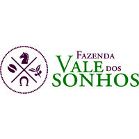 Vale dos Sonhos S.A logo - Similar company to Resultado Em Foco