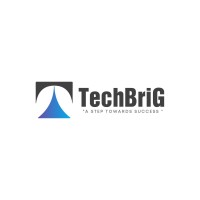TechbriG Business Services Pvt Ltd logo - Similar company to Jca Justaclickaway.Us