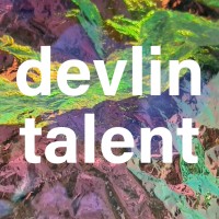devlin talent logo - Similar company to Ta Innovation Hive