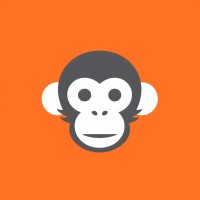 Stone Monkey Studios logo - Similar company to Starcaster