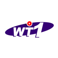 WT1 Digital logo - Similar company to Grupo Interjato