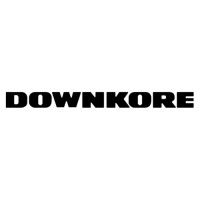 DOWNKORE logo - Similar company to Beststartup.Us