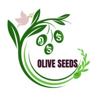OLIVE SEEDS logo - Similar company to Highlight London