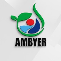 Ambyer logo - Similar company to Arrendomx